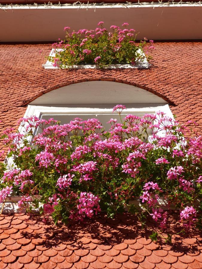 Villa Vidal Villabassa Esterno foto